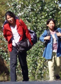 国产一区二区在线影院